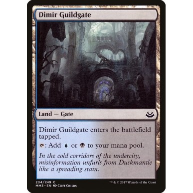 Dimir Guildgate