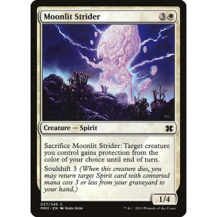 Moonlit Strider