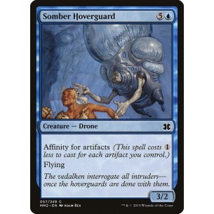 Somber Hoverguard