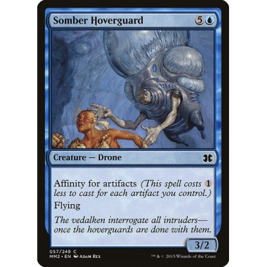 Somber Hoverguard