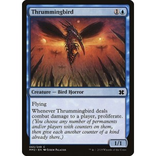 Thrummingbird