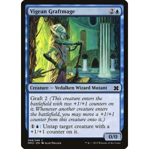 Vigean Graftmage