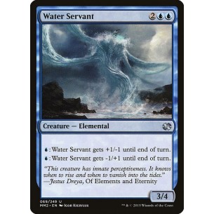Water Servant