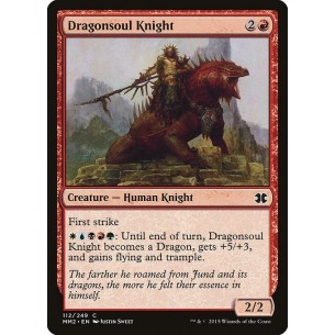 Dragonsoul Knight