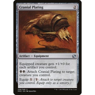 Cranial Plating