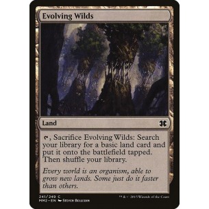 Evolving Wilds