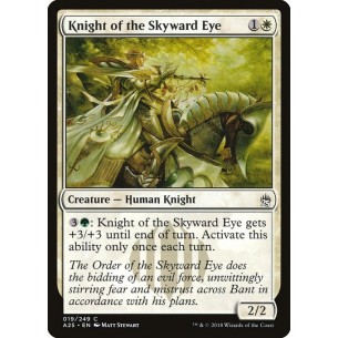 Knight of the Skyward Eye