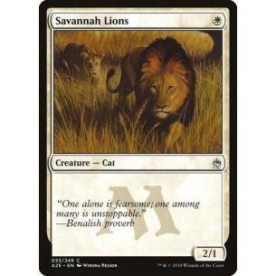 Savannah Lions