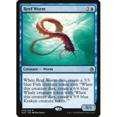 Reef Worm