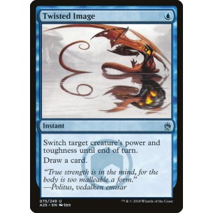 Twisted Image