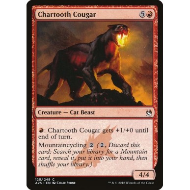 Chartooth Cougar