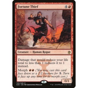 Fortune Thief