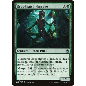 Broodhatch Nantuko
