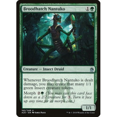 Broodhatch Nantuko