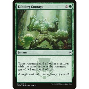 Echoing Courage