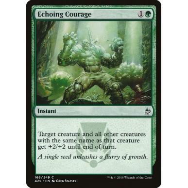 Echoing Courage