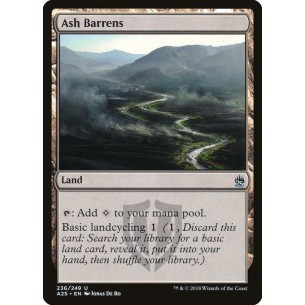 Ash Barrens