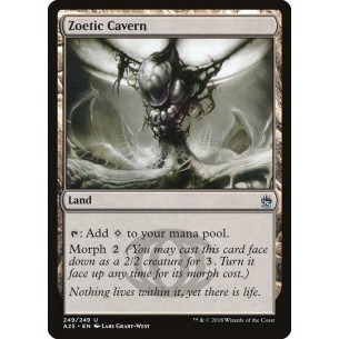 Zoetic Cavern