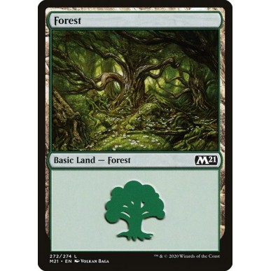 Foresta