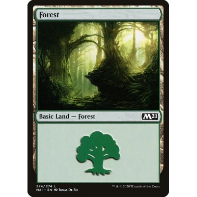 Forest