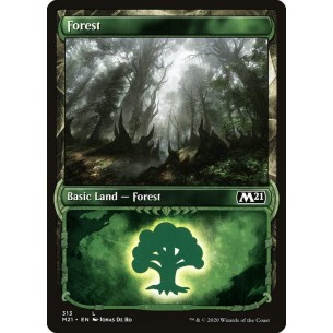 Foresta