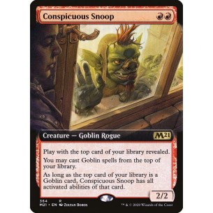 Conspicuous Snoop