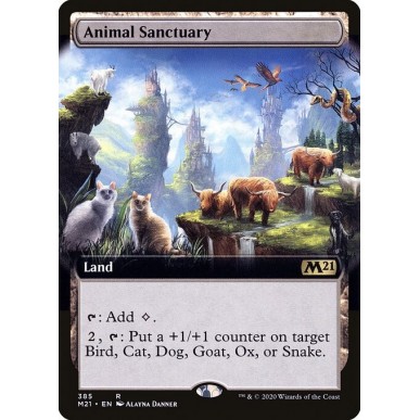 Animal Sanctuary