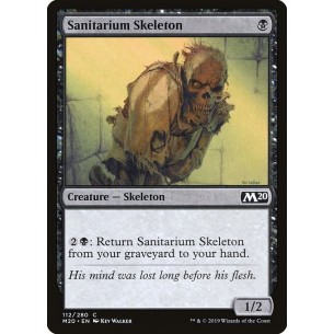 Sanitarium Skeleton