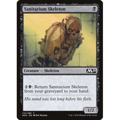 Sanitarium Skeleton