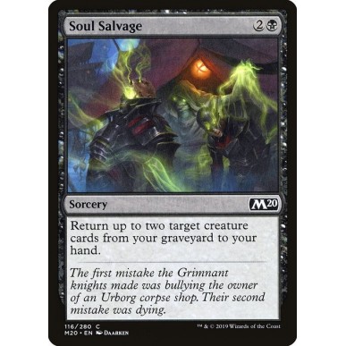 Soul Salvage