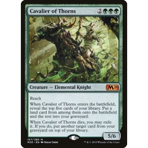 Cavalier of Thorns