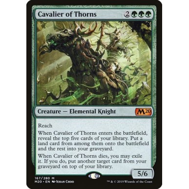 Cavalier of Thorns