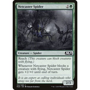 Netcaster Spider