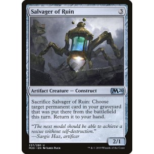 Salvager of Ruin