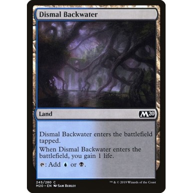 Dismal Backwater
