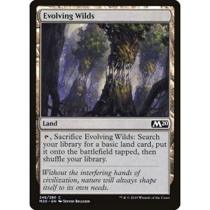 Evolving Wilds