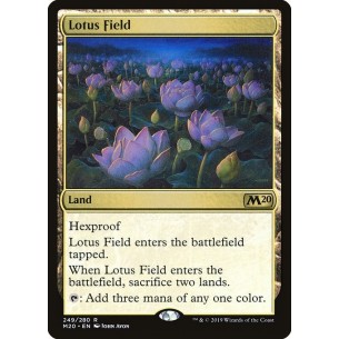 Lotus Field
