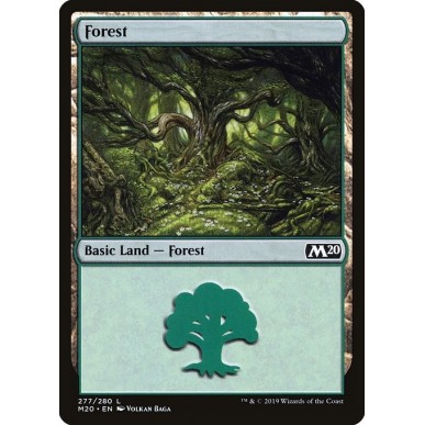 Foresta