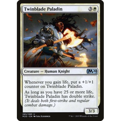 Twinblade Paladin