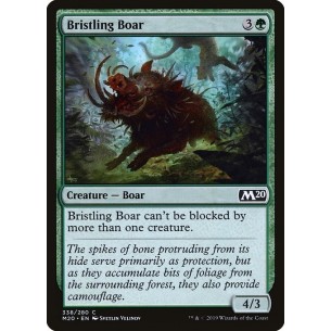 Bristling Boar