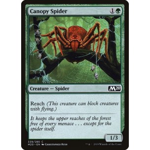 Canopy Spider