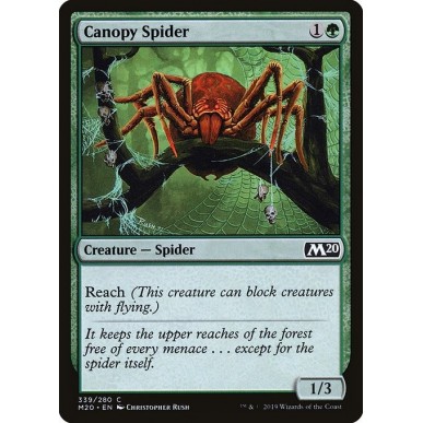 Canopy Spider