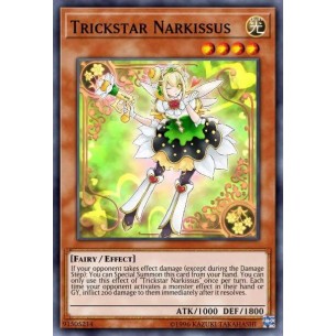 Trickstar Narkissus