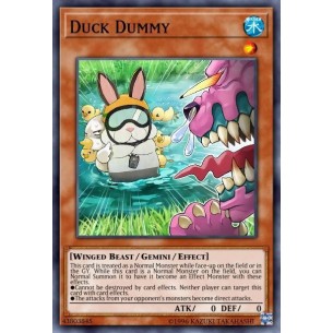 Duck Dummy