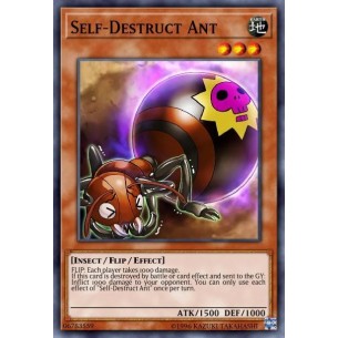 Self-Destruct Ant