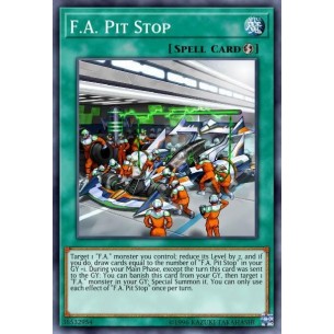 F.A. Pit Stop