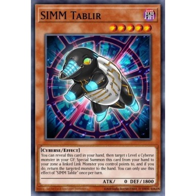 SIMM Tablir