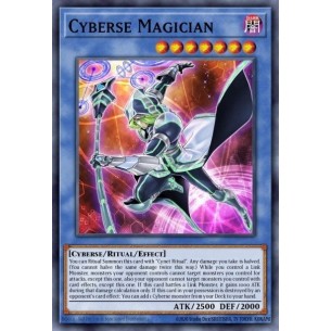 Cyberse Magician