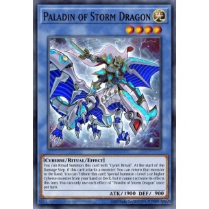 Paladin of Storm Dragon