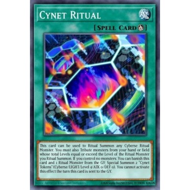 Cynet Ritual